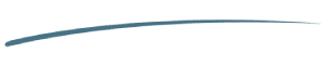 devider-2